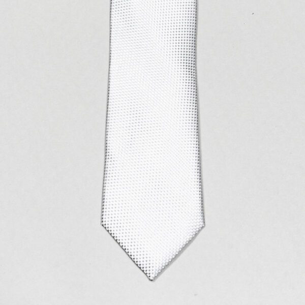 corbata gris diseno de puntos marca colletti cl sico 148960 GRIS 2
