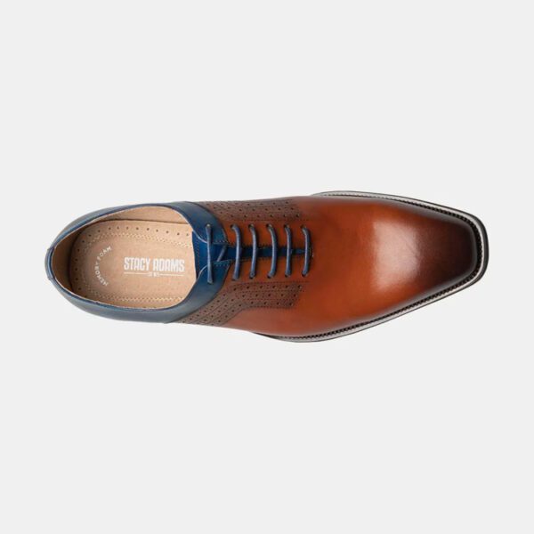 zapatos gena y azul diseno halloway marca stacy adams cl sico 151263 CAFE 4